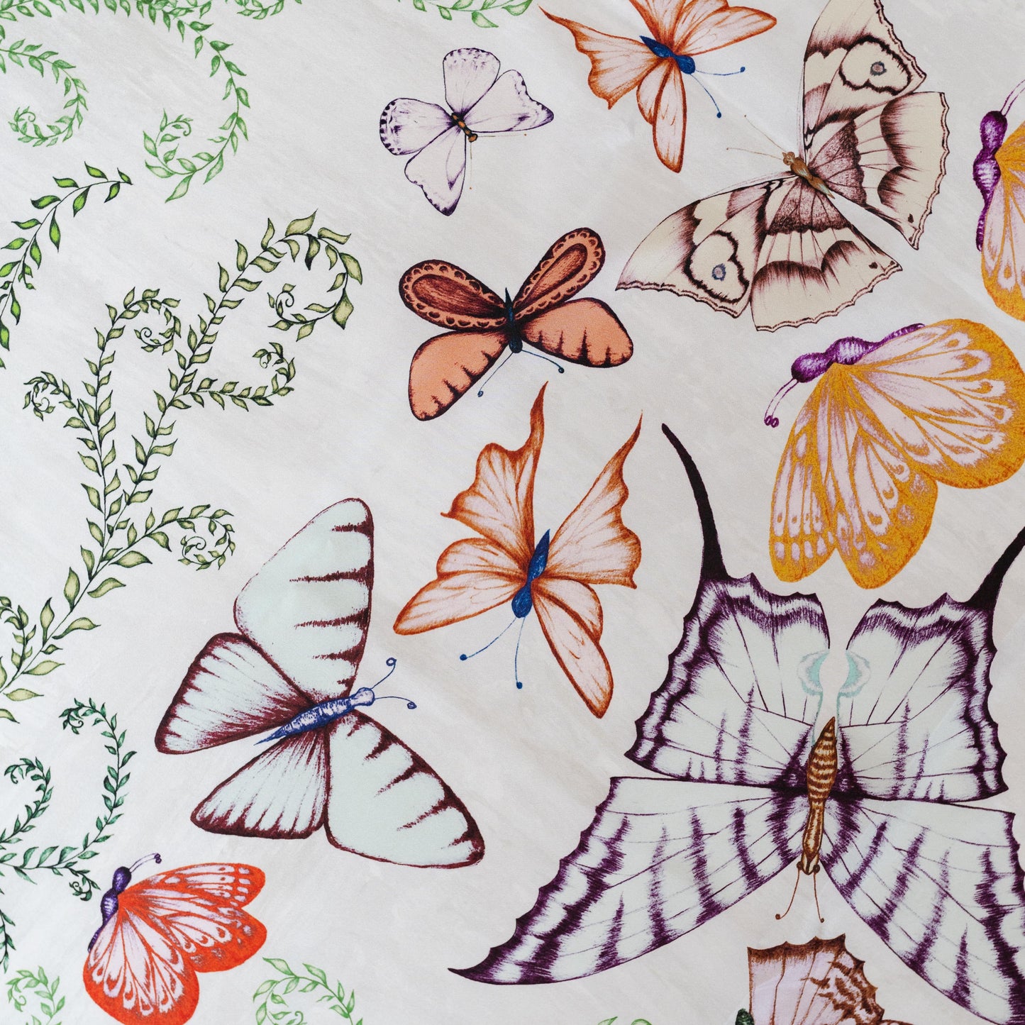 Butterfly Kaleidoscope